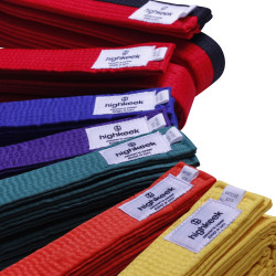 Ceinture classic en polyester